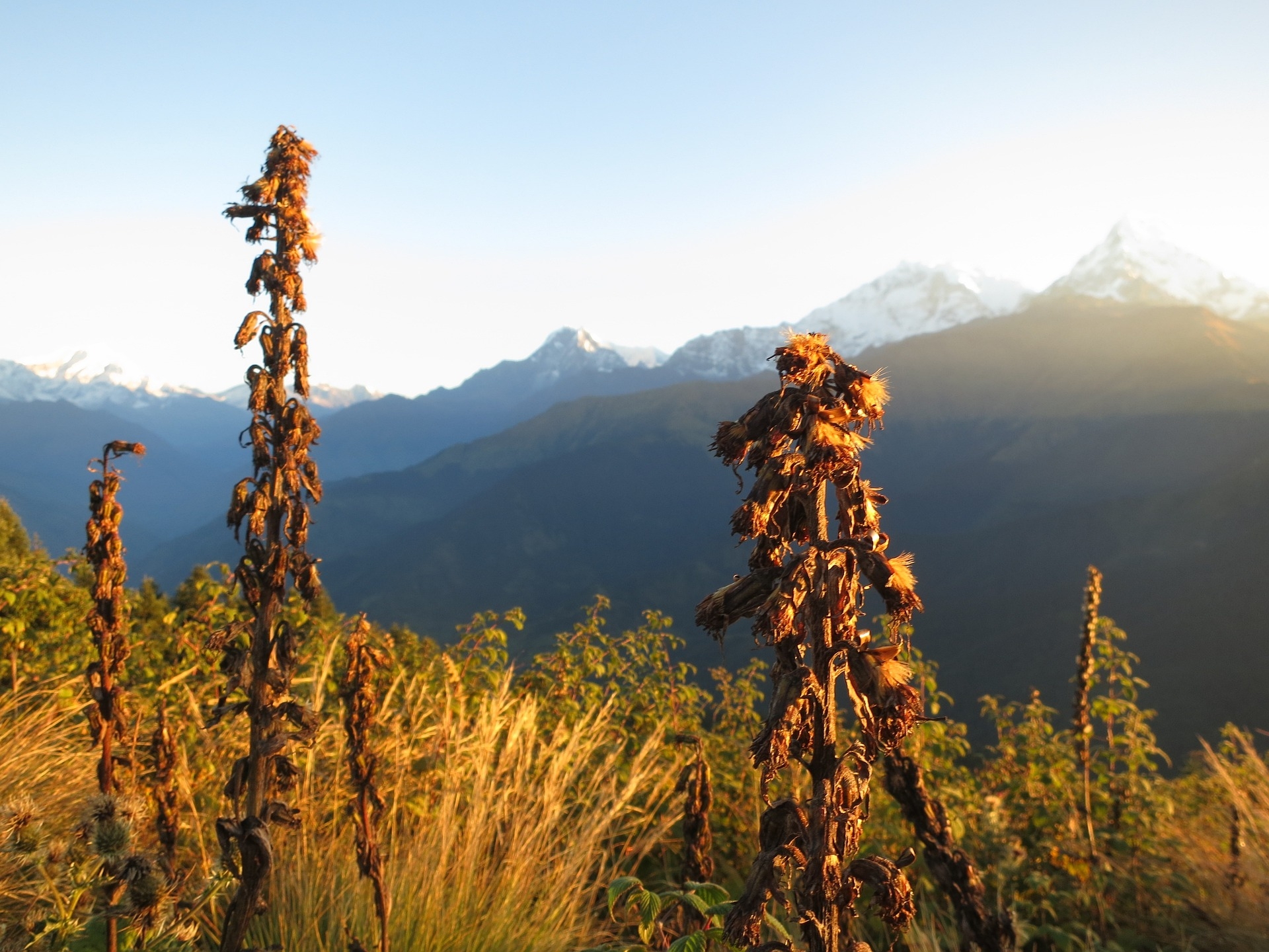 Poon Hill Trek With Jungle Safari
